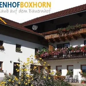 Woferlhof, Boxhorn Böbrach